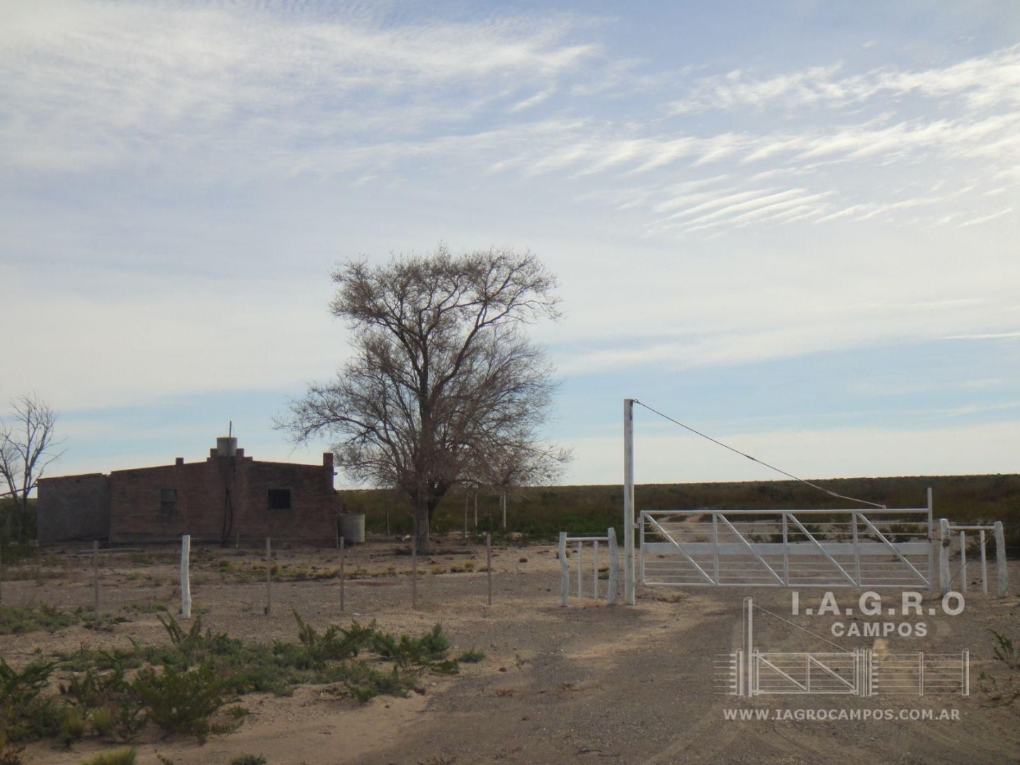 Campo  en Venta en Curaco,  Curaco - La Pampa - Bahía Blanca Propiedades | SITIO OFICIAL l