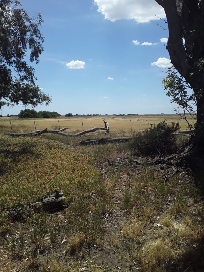 Campo  en Venta   Medanos - Bahía Blanca Propiedades | SITIO OFICIAL l