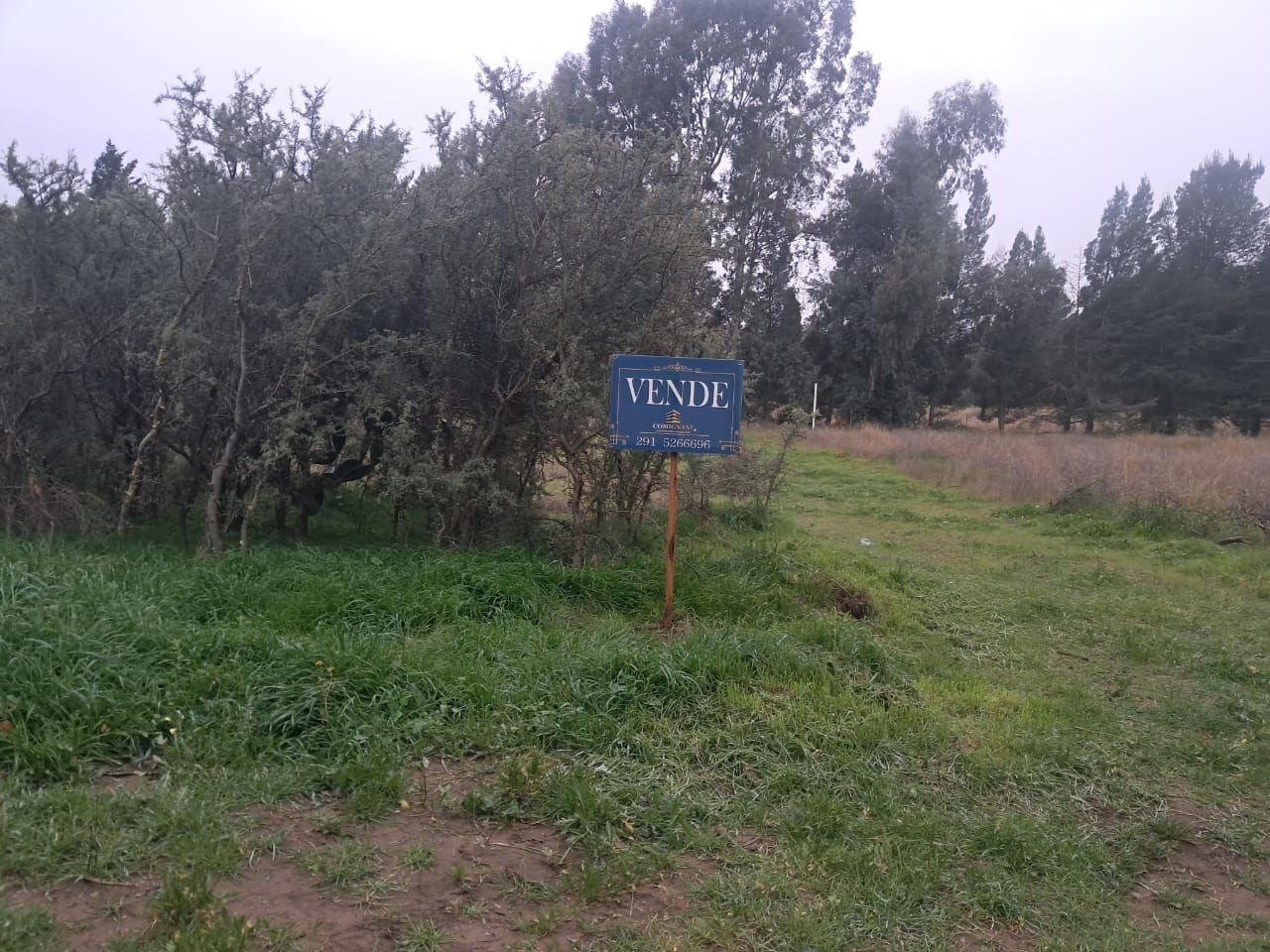 Terreno en Venta  Villa Belgrano, Bahía Blanca - Bahía Blanca Propiedades | SITIO OFICIAL l