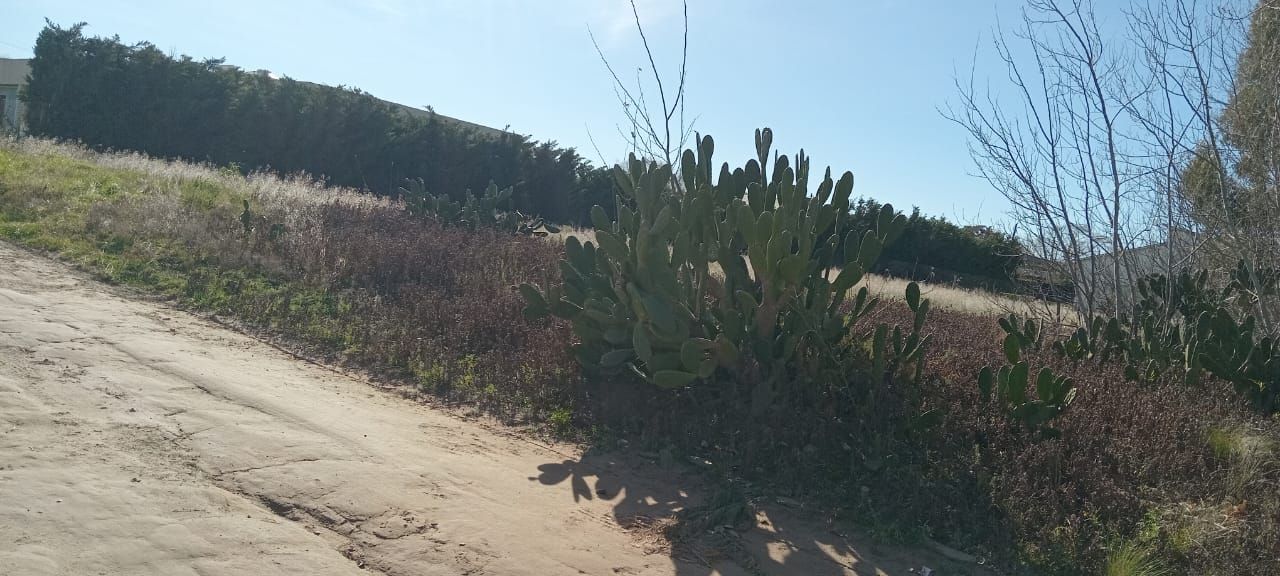 Terreno en Venta en Ambrusi 2500, Parque Norte, Bahía Blanca - Bahía Blanca Propiedades | SITIO OFICIAL l