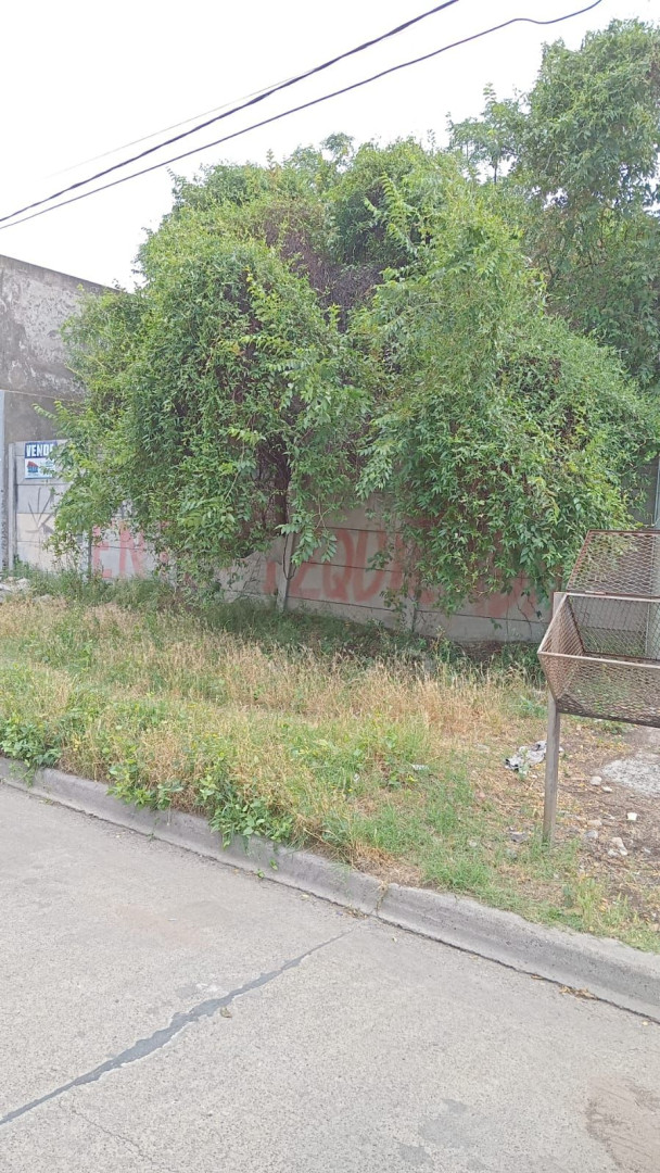 Terreno en Venta en Catamarca N° 483, Noroeste, Bahía Blanca - Bahía Blanca Propiedades | SITIO OFICIAL l