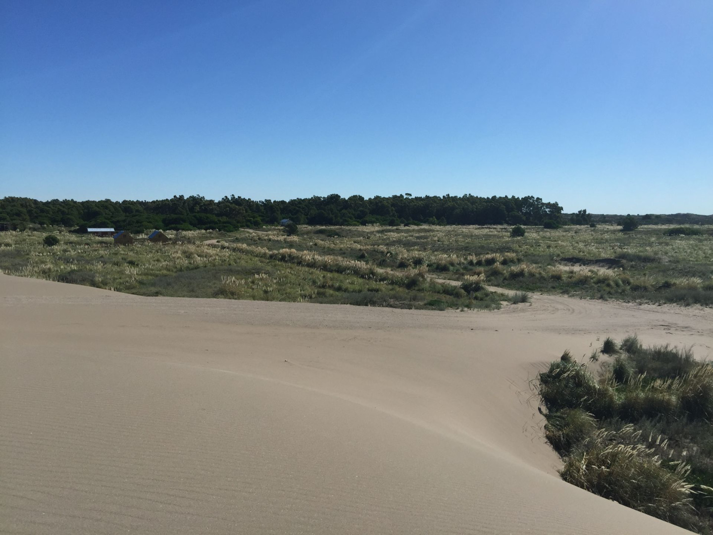 Terreno en Venta en Las Toninas Entre Ostende Y Mar Chiquita, El Sauce, Monte Hermoso - Bahía Blanca Propiedades | SITIO OFICIAL l