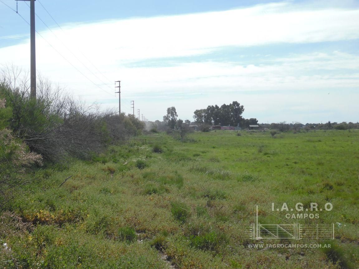 Terreno en Venta en Sixto Laspiur Y Ugarte,  Bahía Blanca - Bahía Blanca Propiedades | SITIO OFICIAL l