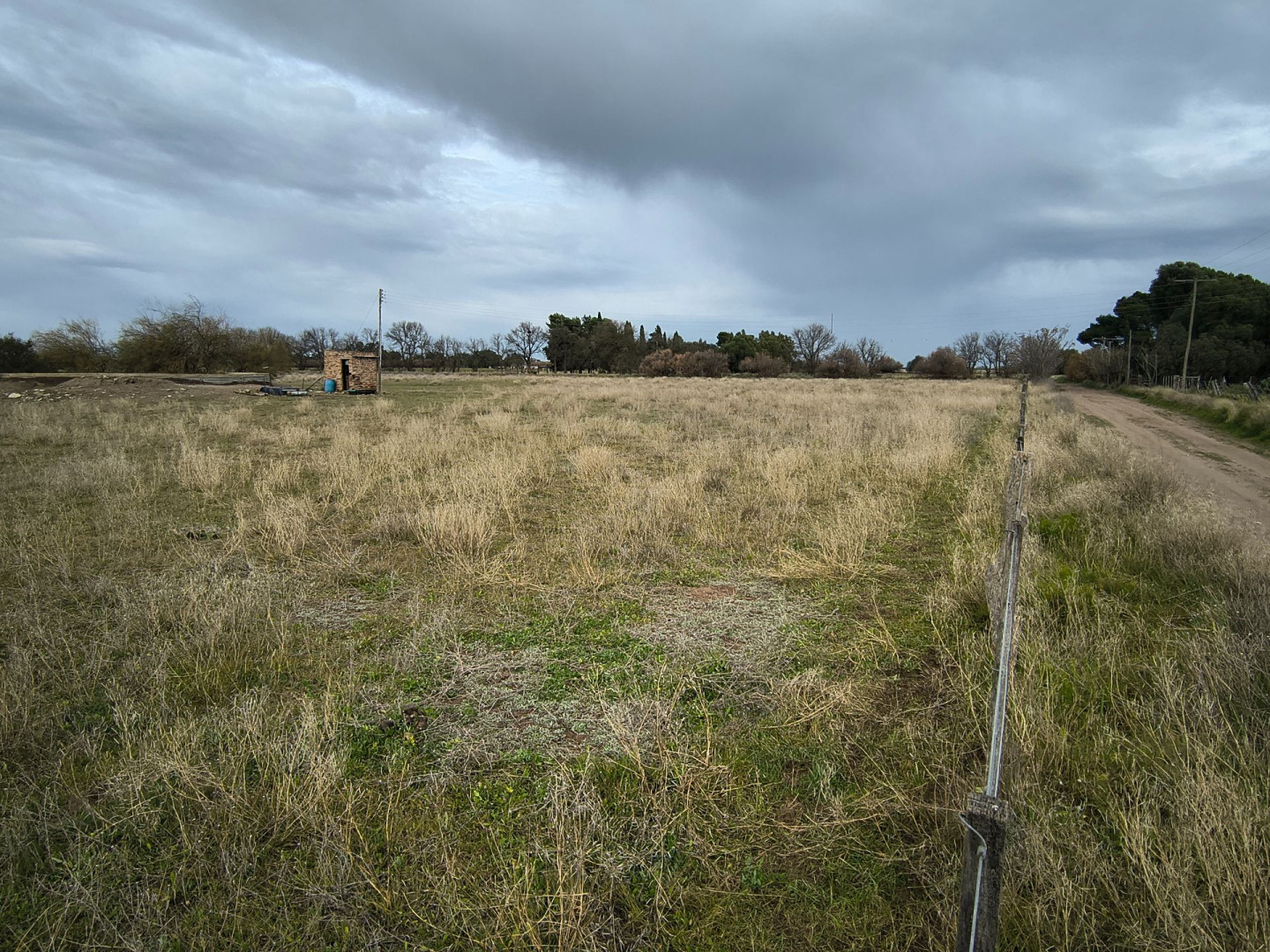 Campo  en Venta en Colonia Los Alfalfares,  Medanos - Bahía Blanca Propiedades | SITIO OFICIAL l