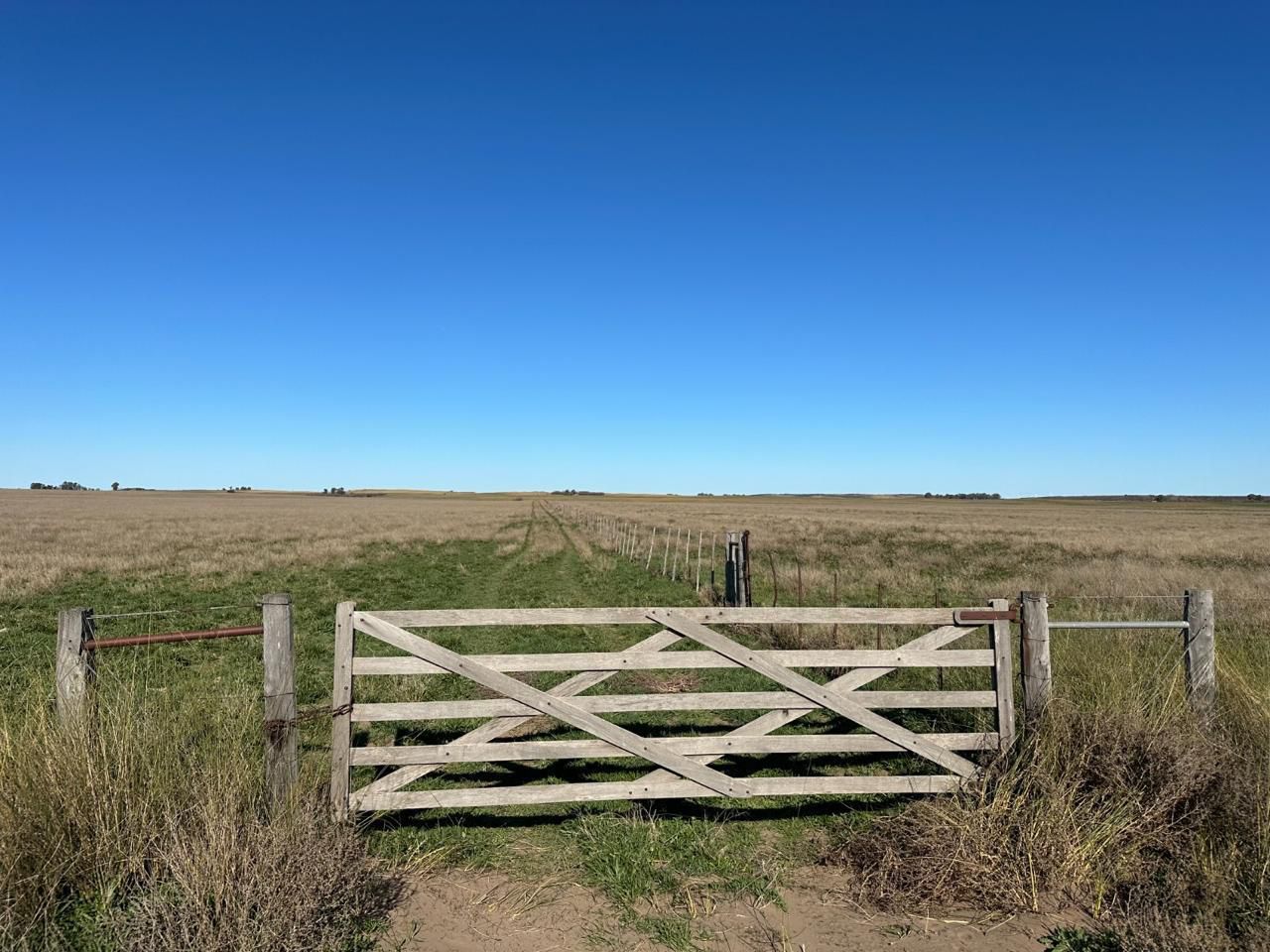 Campo  en Venta en A 4 Kilómetros De La Ruta 3.,  Teniente Origone - Bahía Blanca Propiedades | SITIO OFICIAL l