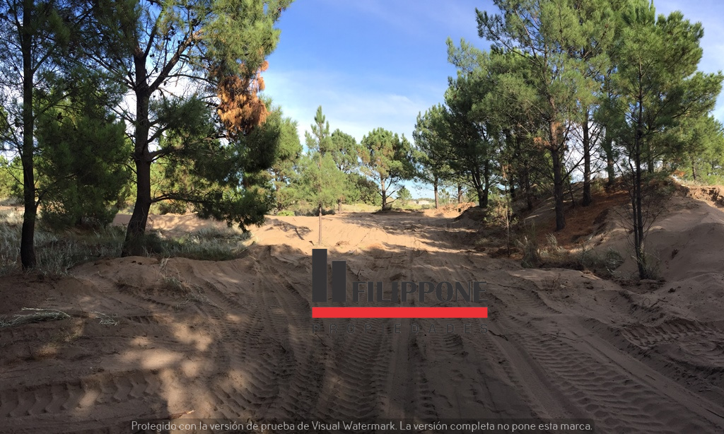 Terreno en Venta   Pehuen Co - Bahía Blanca Propiedades | SITIO OFICIAL l