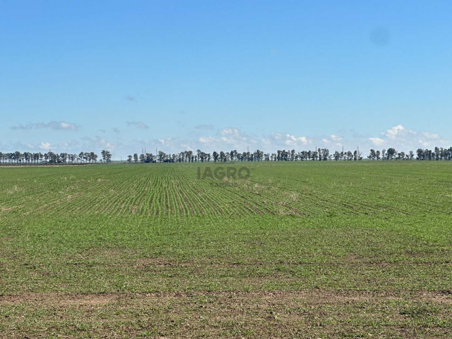 Campo  en Venta en Ruta 51,  Bahía Blanca - Bahía Blanca Propiedades | SITIO OFICIAL l