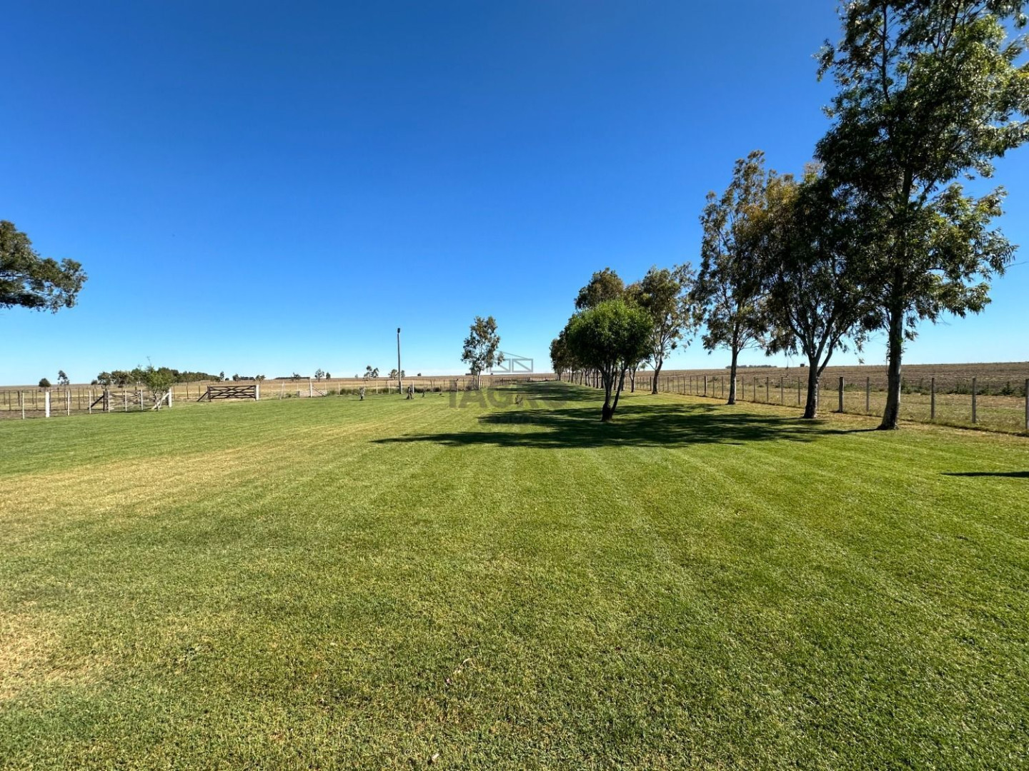 Campo  en Venta en Gil,  Coronel Dorrego - Bahía Blanca Propiedades | SITIO OFICIAL l
