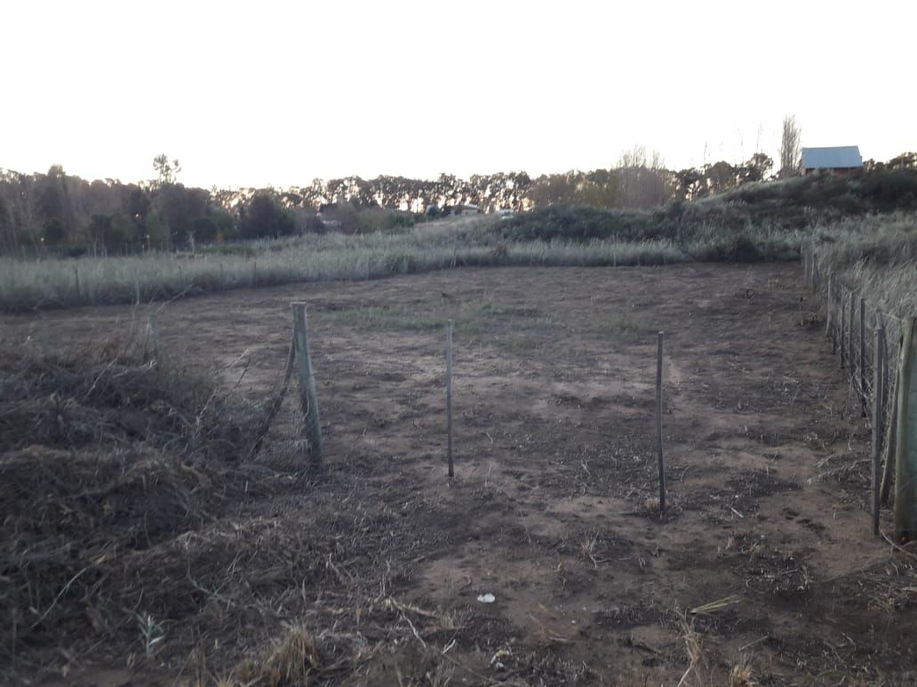 Terreno en Venta en Calle 20 500,  Pehuen Co - Bahía Blanca Propiedades | SITIO OFICIAL l