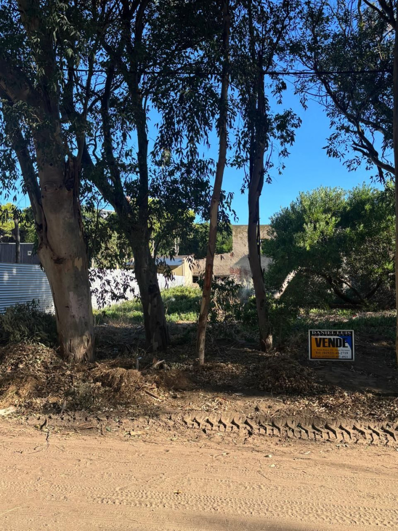 Terreno en Venta en Rodriguez Peña Y Necochea, El Sauce, Monte Hermoso - Bahía Blanca Propiedades | SITIO OFICIAL l