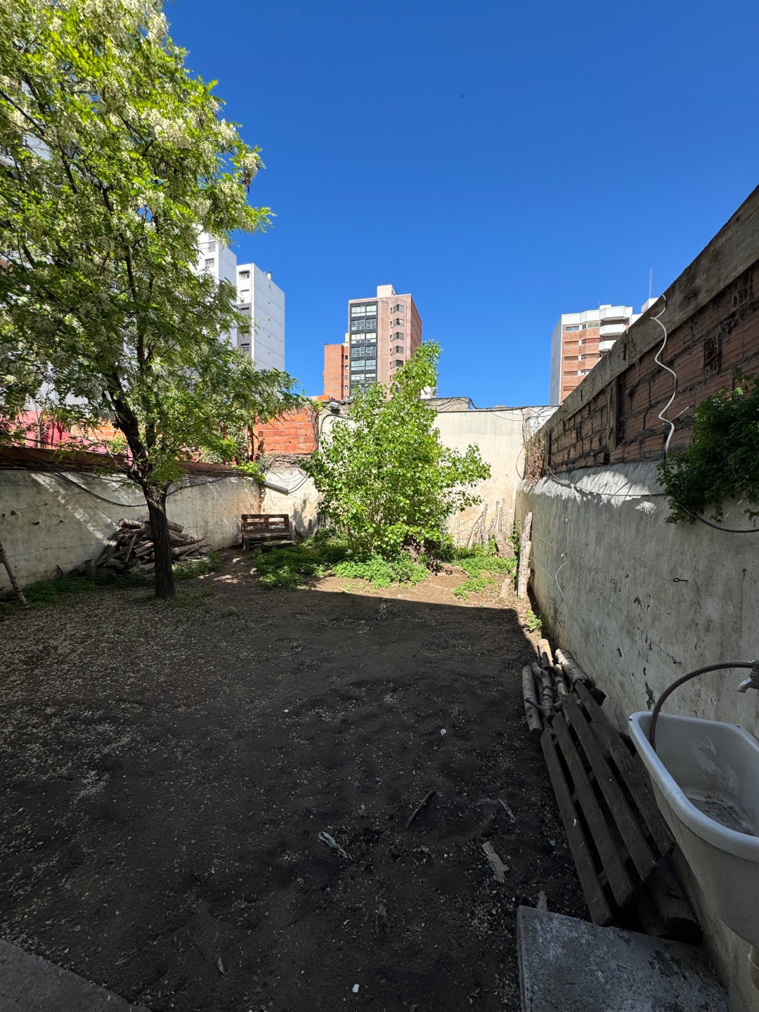 Departamento en Alquiler en Irigoyen 357, Centro, Bahía Blanca - Bahía Blanca Propiedades | SITIO OFICIAL l