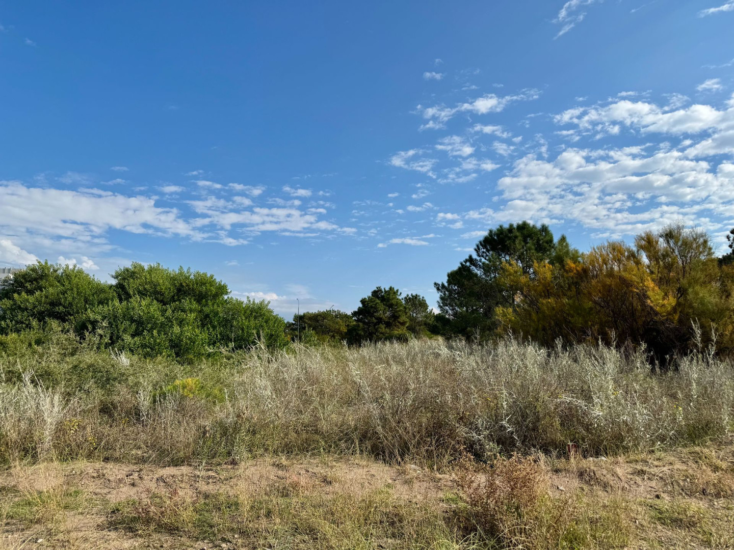 Terreno en Venta en Flamencos Y Martinetas, Monte del Este, Monte Hermoso - Bahía Blanca Propiedades | SITIO OFICIAL l