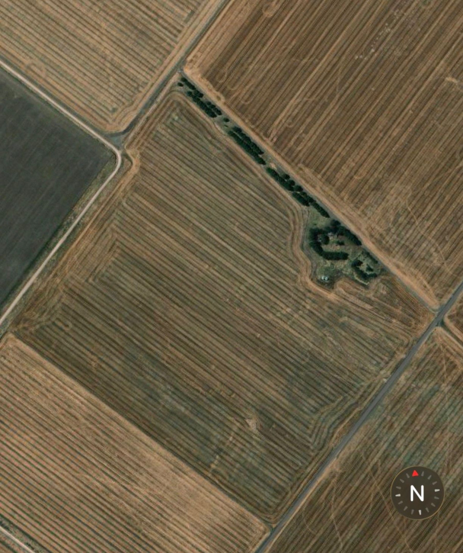 Campo  en Venta   San Romàn - Bahía Blanca Propiedades | SITIO OFICIAL l