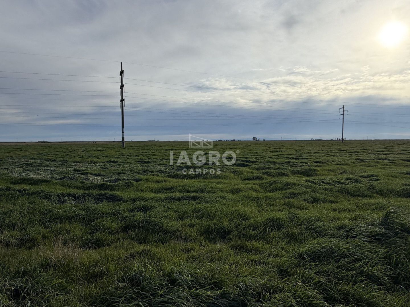 Campo  en Venta en Ruta 51,  Bahía Blanca - Bahía Blanca Propiedades | SITIO OFICIAL l
