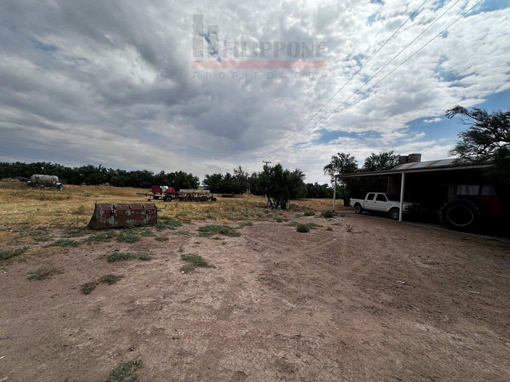 Campo  en Venta en Ruta Nacional 35 Km15,  Bahía Blanca - Bahía Blanca Propiedades | SITIO OFICIAL l
