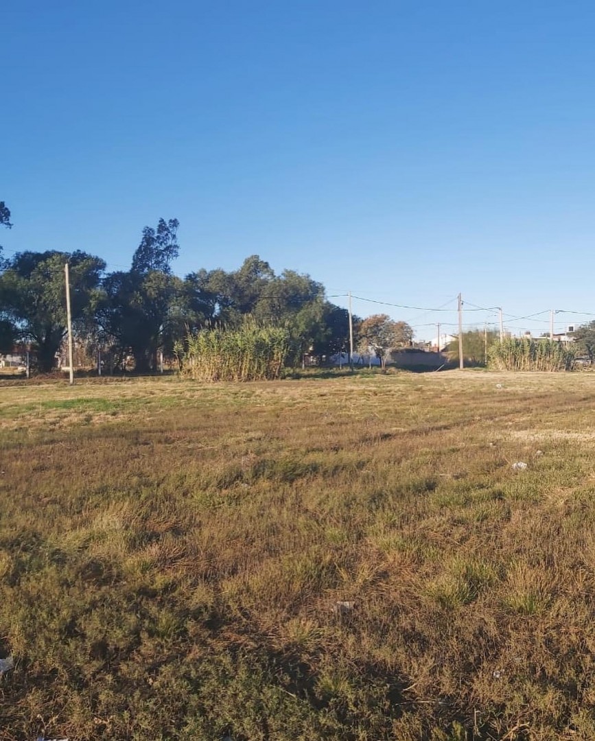 Terreno en Venta en Zapiola 2600, Avellaneda, Bahía Blanca - Bahía Blanca Propiedades | SITIO OFICIAL l