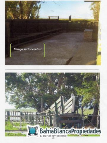 Campo  en Venta en ARGERICH ,  Villarino - Bahía Blanca Propiedades | SITIO OFICIAL l