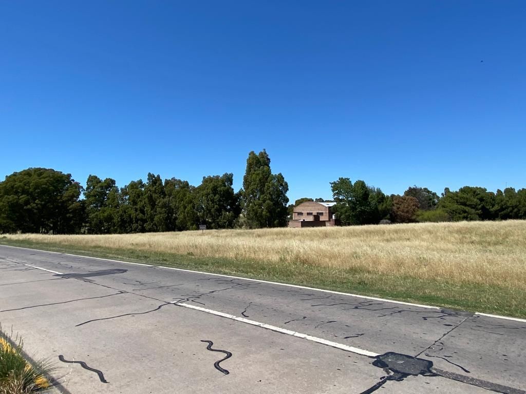 Galpón en Venta en Ruta 3,  Bahía Blanca - Bahía Blanca Propiedades | SITIO OFICIAL l