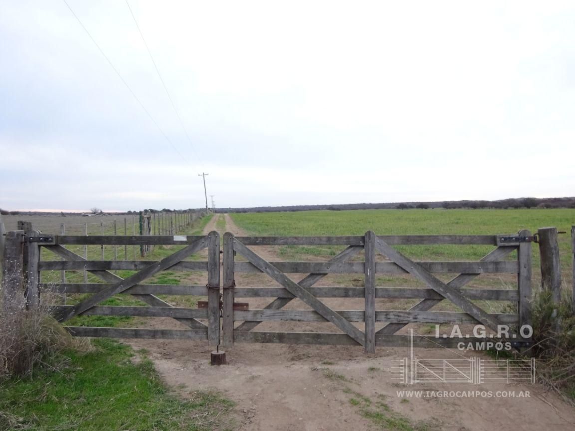 Campo  en Venta en Villarino,  Villarino - Bahía Blanca Propiedades | SITIO OFICIAL l