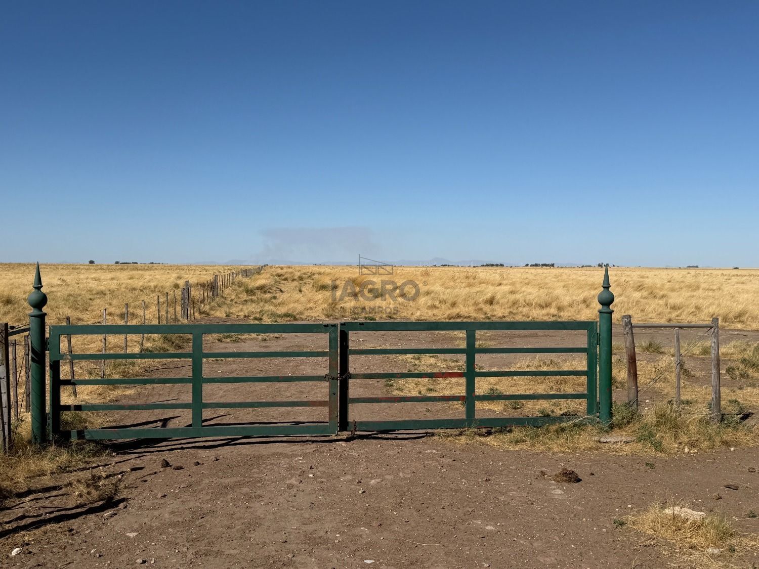 Campo  en Venta en Nueva Roma,  Tornquist - Bahía Blanca Propiedades | SITIO OFICIAL l