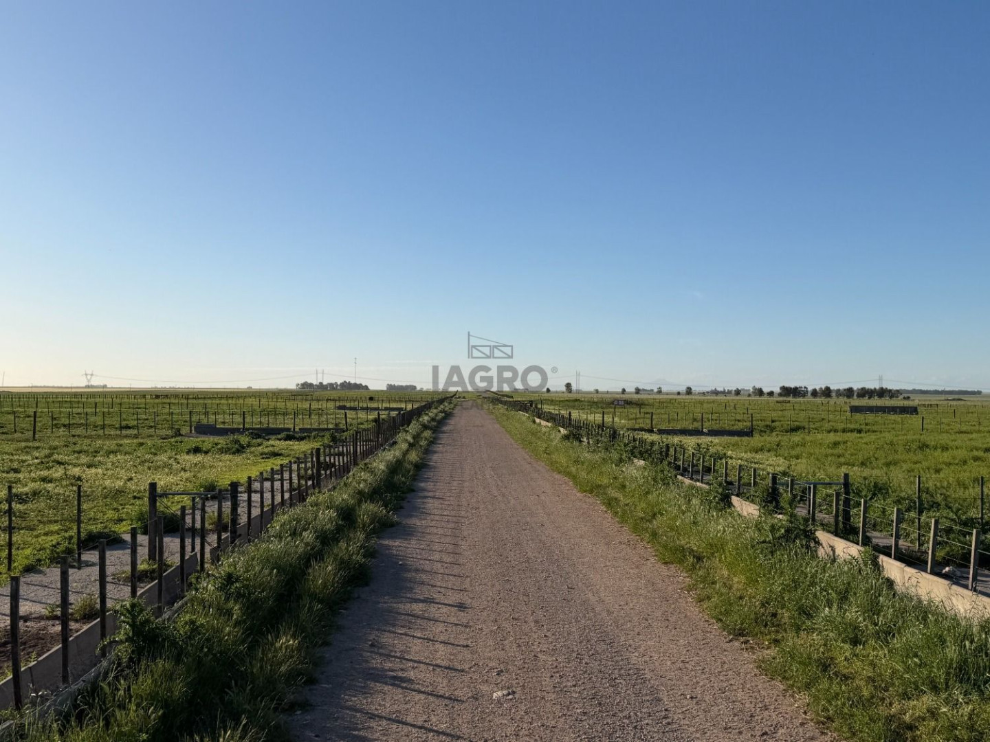 Campo  en Venta en Coronel Dorrego,  Coronel Dorrego - Bahía Blanca Propiedades | SITIO OFICIAL l