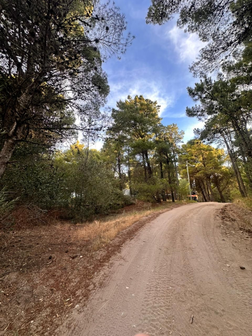 Terreno en Venta en EL Chimango Esquina Bosque Alegre , Pinar del Golf, Monte Hermoso - Bahía Blanca Propiedades | SITIO OFICIAL l