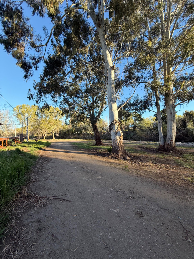 Terreno en Venta en Malvinas Y Costanera , Barrio Parque Delfino, Sierra de  la Ventana - Bahía Blanca Propiedades | SITIO OFICIAL l