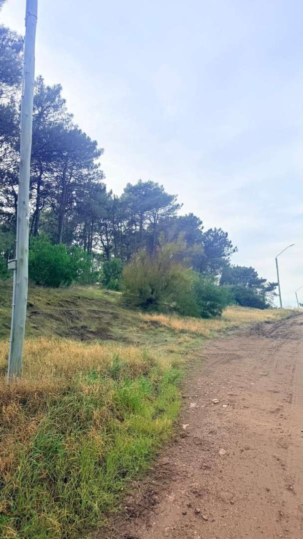 Terreno en Venta en LA PALOMA Y LAS URRACAS,  Monte Hermoso - Bahía Blanca Propiedades | SITIO OFICIAL l