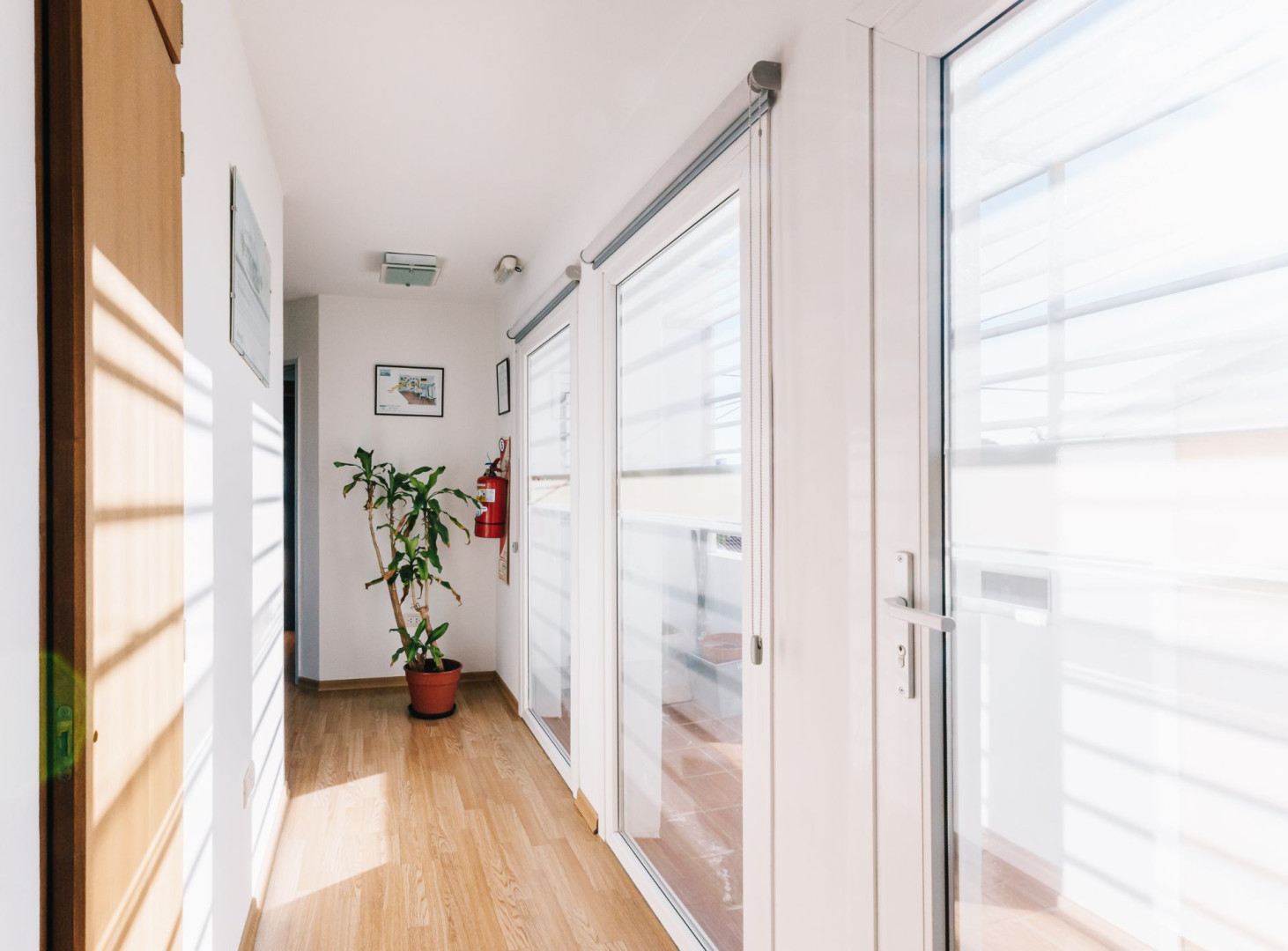 Local en Venta en Mitre Y Colombia, Universitario, Bahía Blanca - Bahía Blanca Propiedades | SITIO OFICIAL l
