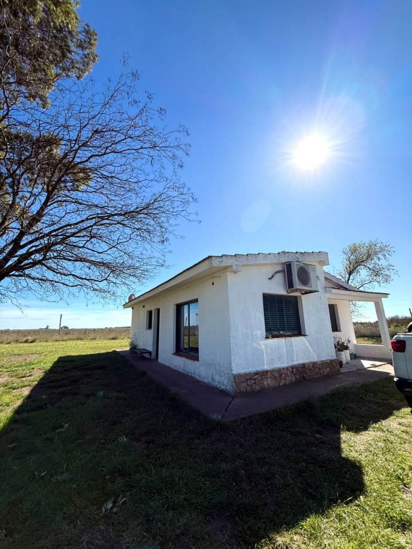 Campo  en Venta   Juan A. Pradere - Bahía Blanca Propiedades | SITIO OFICIAL l