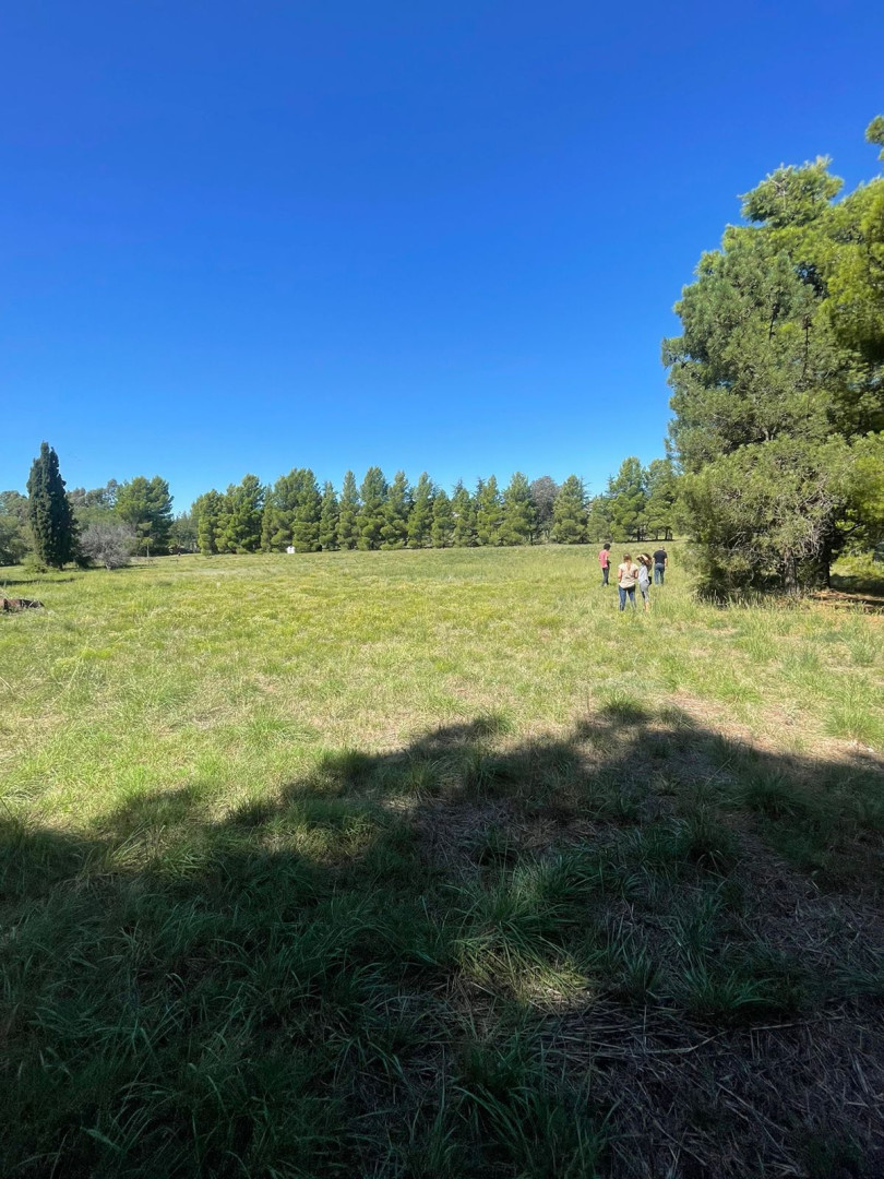 Terreno en Venta en LATANZIO 2700,  Bahía Blanca - Bahía Blanca Propiedades | SITIO OFICIAL l