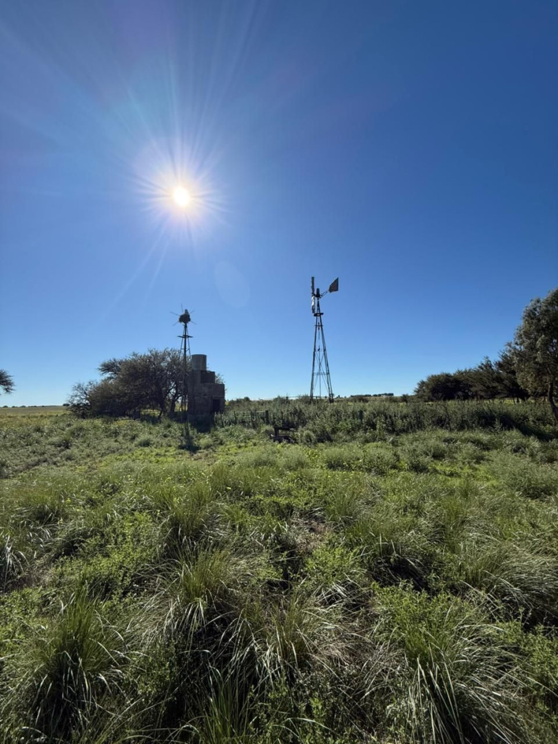 Campo  en Venta en Ruta 22, Algarrobo, Villarino ,  Algarrobo - Bahía Blanca Propiedades | SITIO OFICIAL l