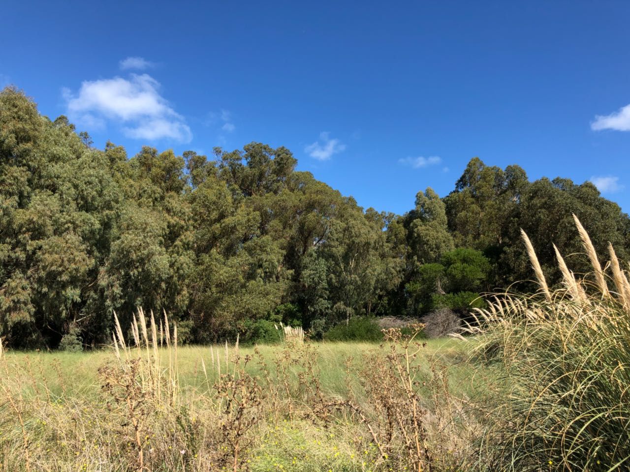 Terreno en Venta en Balneario Reta,  Tres Arroyos - Bahía Blanca Propiedades | SITIO OFICIAL l