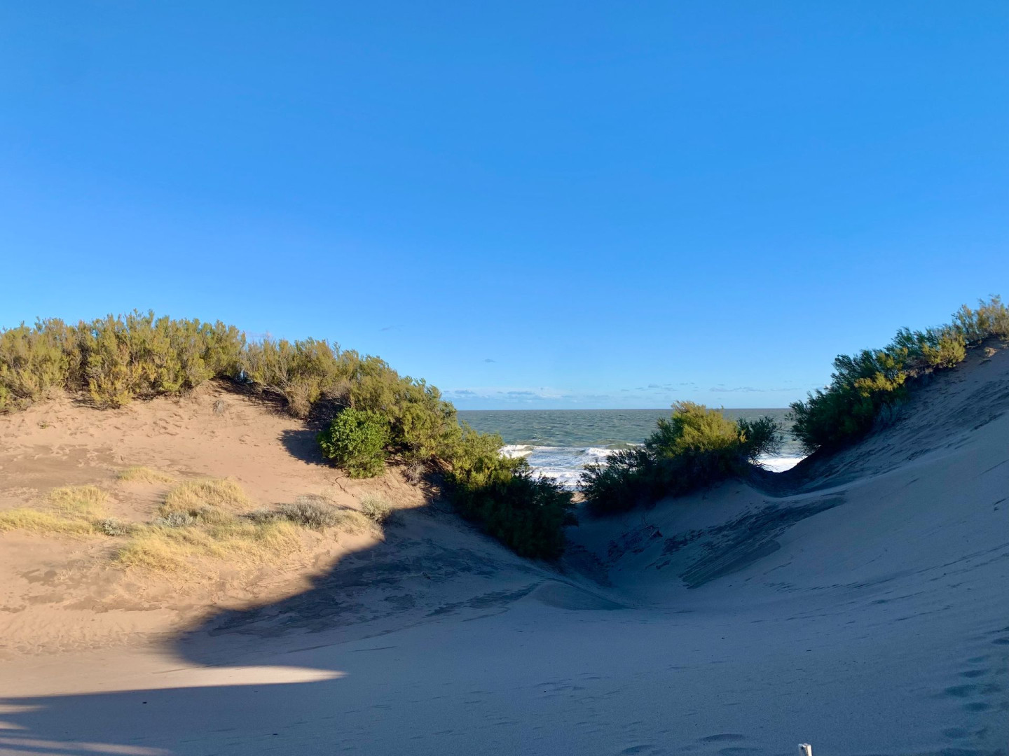 Casa en Venta en Costanera Entre Aladino Y Los Alamos, El Sauce, Monte Hermoso - Bahía Blanca Propiedades | SITIO OFICIAL l