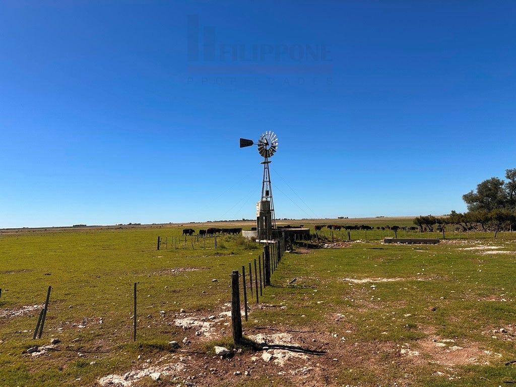 Campo  en Venta en Ruta 35 - Bahía Blanca Propiedades | SITIO OFICIAL l