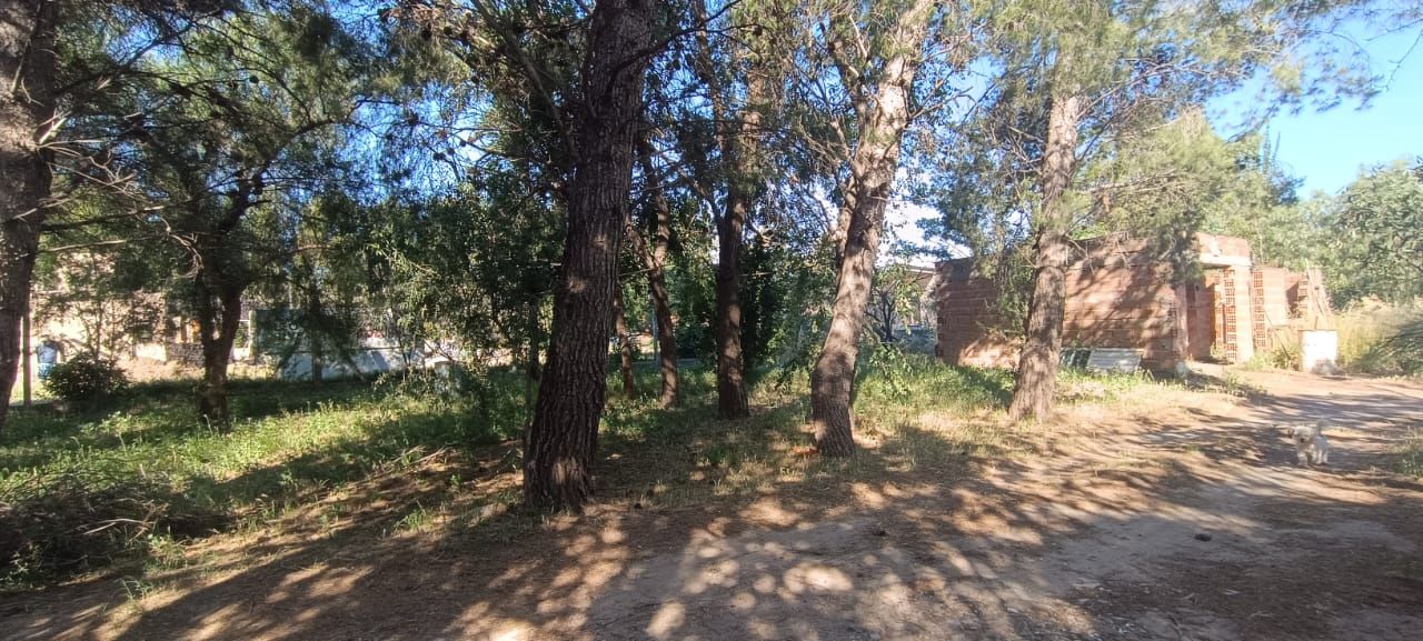 Casaquinta en Venta en Casilda Igarzabal 100, Los Chañares, Bahía Blanca - Bahía Blanca Propiedades | SITIO OFICIAL l