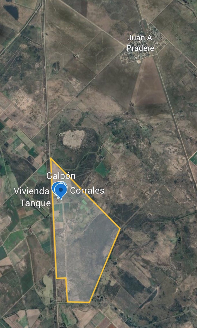 Campo  en Venta   Juan A. Pradere - Bahía Blanca Propiedades | SITIO OFICIAL l