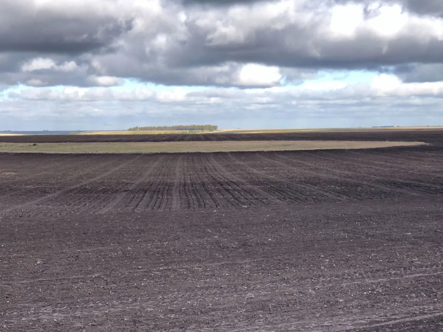 Campo  en Venta en Coronel Dorrego,  Coronel Dorrego - Bahía Blanca Propiedades | SITIO OFICIAL l
