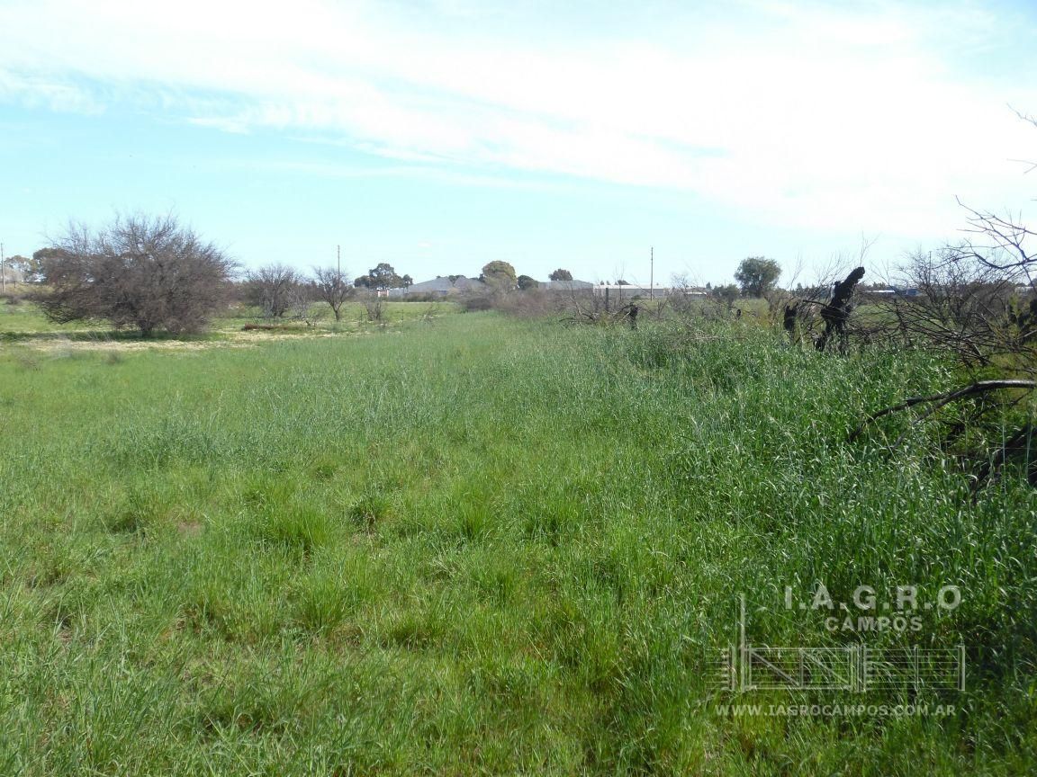 Terreno en Venta en Sixto Laspiur Y Ugarte,  Bahía Blanca - Bahía Blanca Propiedades | SITIO OFICIAL l