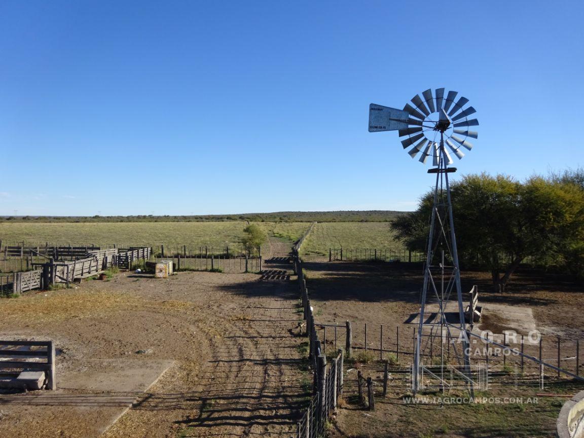 Campo  en Venta en Partido De Villarino,  Villarino - Bahía Blanca Propiedades | SITIO OFICIAL l