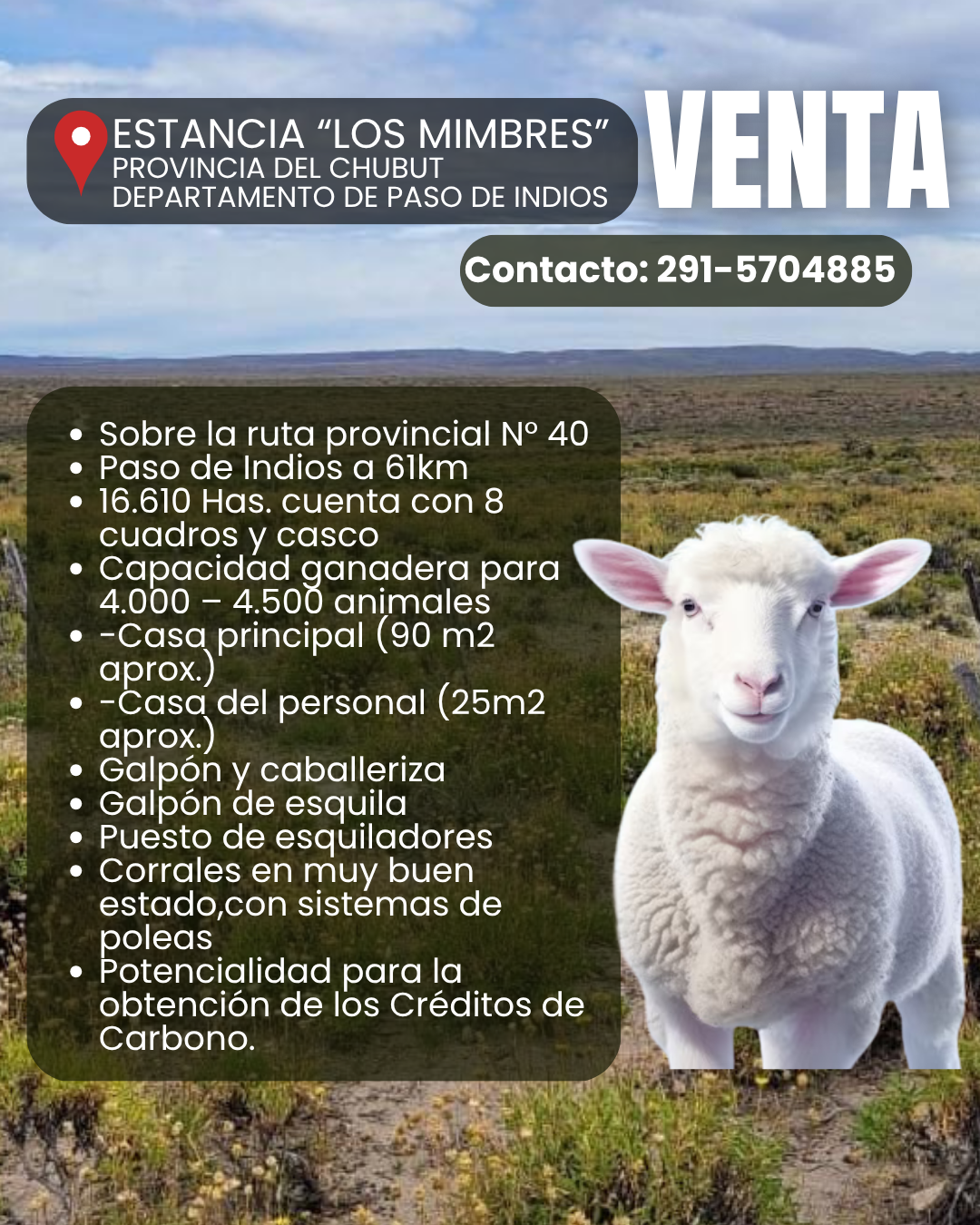 Campo  en Venta en Ruta Provincial 40 ,  Paso de Indios - Chubut - Bahía Blanca Propiedades | SITIO OFICIAL l