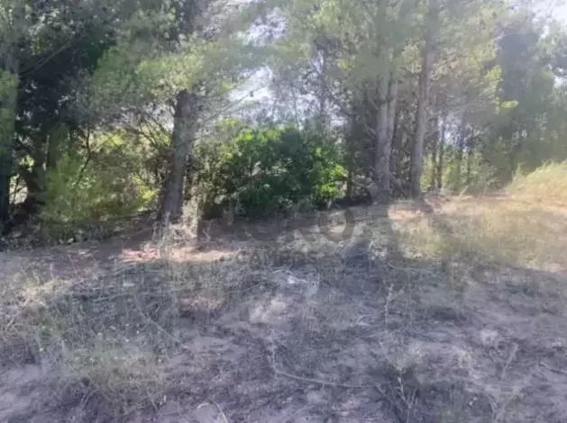 Terreno en Venta en Barrio Dufaur, Dufaur, Monte Hermoso - Bahía Blanca Propiedades | SITIO OFICIAL l