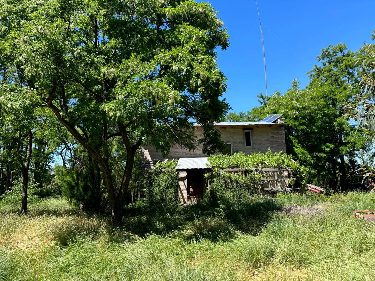 Campo  en Venta en Ruta 72,  Coronel Pringles - Bahía Blanca Propiedades | SITIO OFICIAL l
