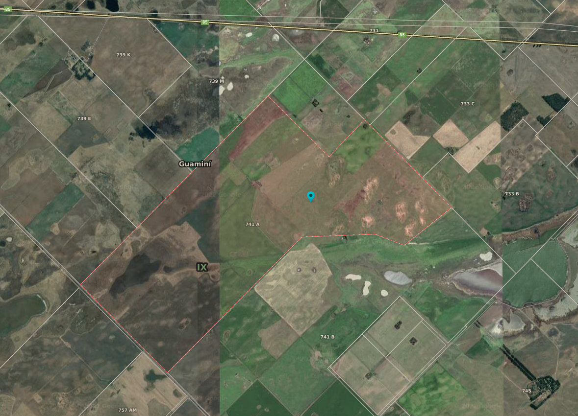 Campo  en Venta en RUTA 33 Y RUTA 85,  Guamini - Bahía Blanca Propiedades | SITIO OFICIAL l