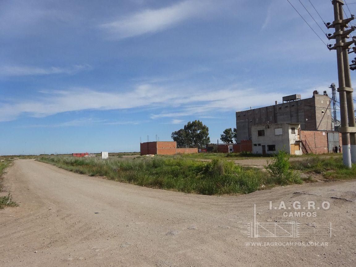 Galpón en Venta en Sussini Y Lugones,  General Cerri - Bahía Blanca Propiedades | SITIO OFICIAL l