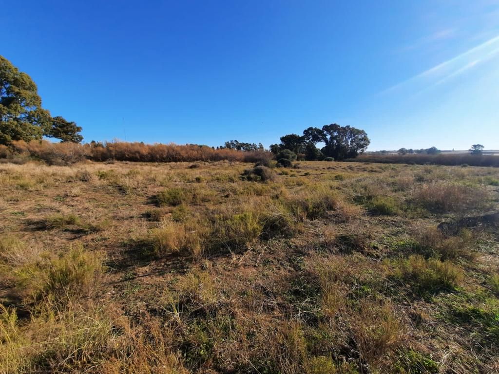 Terreno en Venta en Cabrera 3200,  Bahía Blanca - Bahía Blanca Propiedades | SITIO OFICIAL l