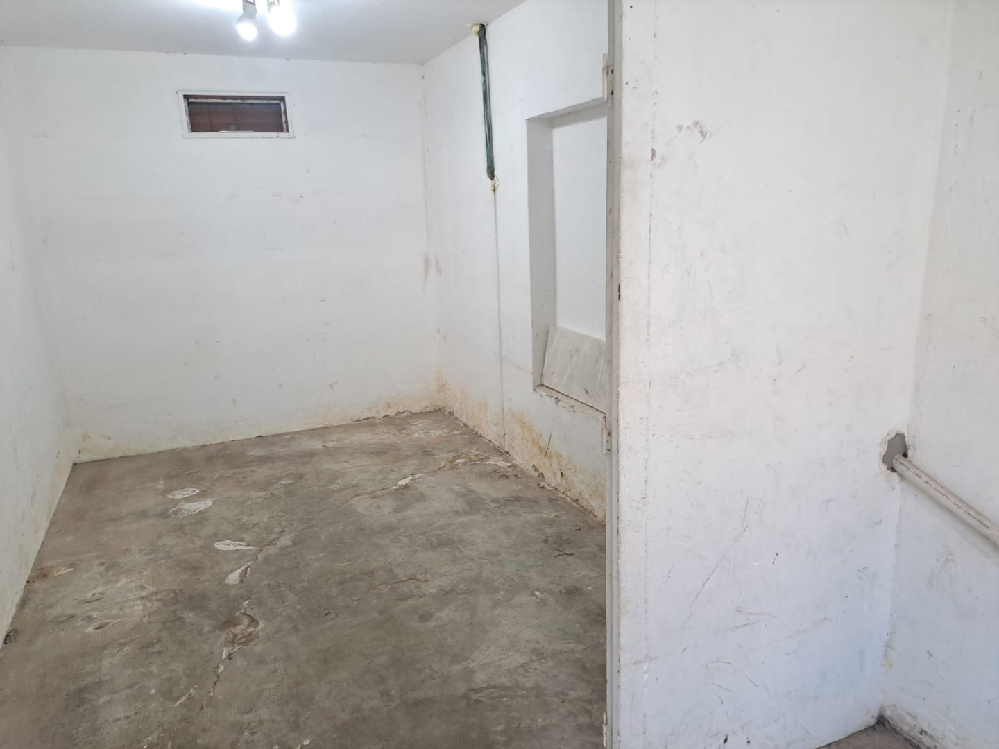 Galpón en Venta en Montevideo 435, Pedro Pico, Bahía Blanca - Bahía Blanca Propiedades | SITIO OFICIAL l