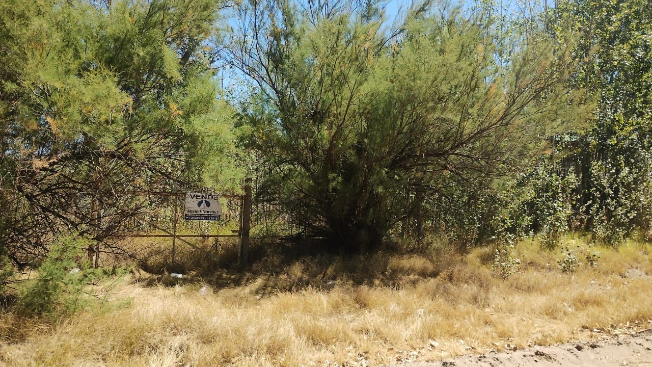 Terreno en Venta en Las Ballenas 850,  Monte Hermoso - Bahía Blanca Propiedades | SITIO OFICIAL l