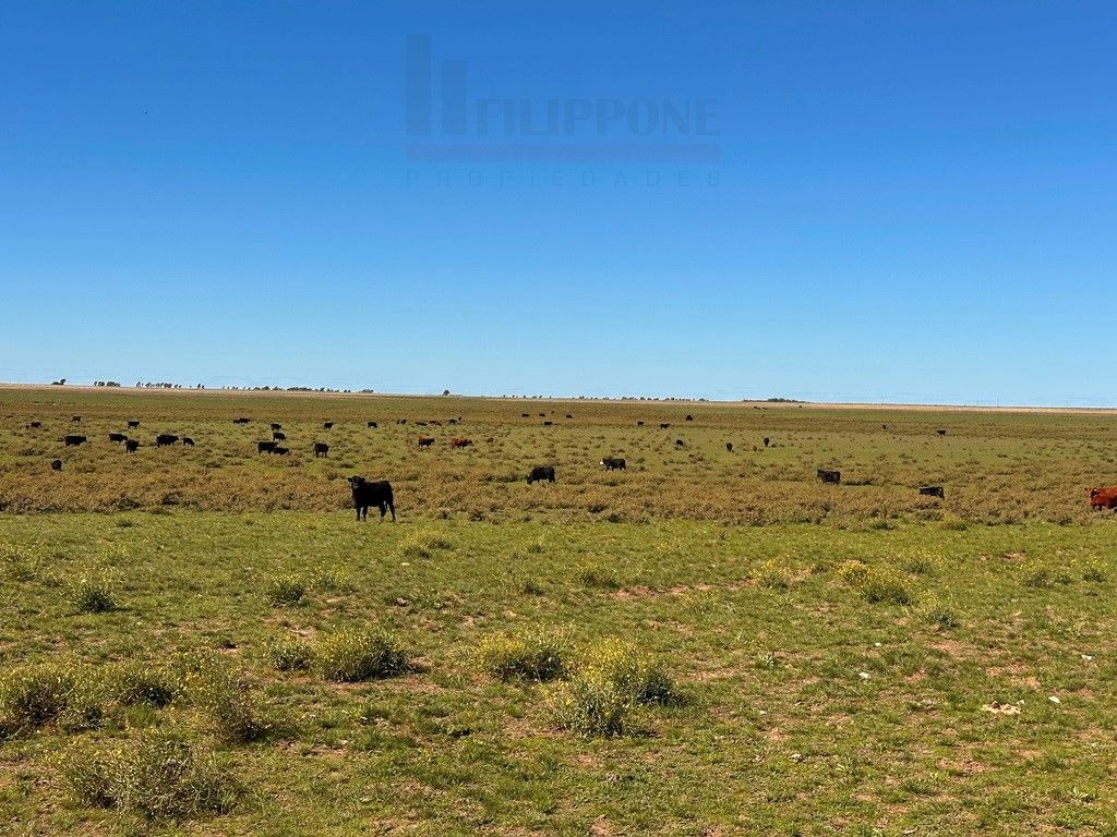Campo  en Venta en Ruta 35 - Bahía Blanca Propiedades | SITIO OFICIAL l