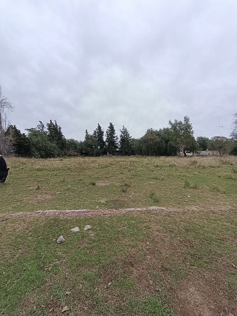 Terreno en Venta en Baigorria 4100 , San Miguel, Bahía Blanca - Bahía Blanca Propiedades | SITIO OFICIAL l
